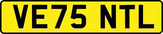VE75NTL