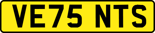 VE75NTS