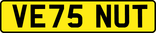 VE75NUT