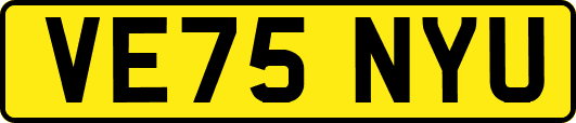 VE75NYU