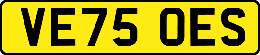 VE75OES