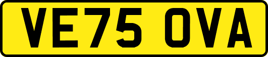 VE75OVA