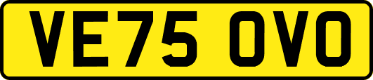 VE75OVO