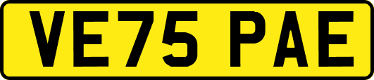 VE75PAE