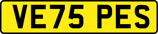 VE75PES