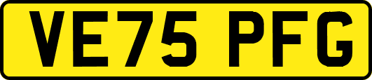 VE75PFG