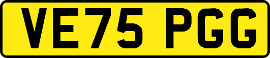 VE75PGG
