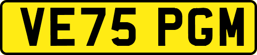 VE75PGM