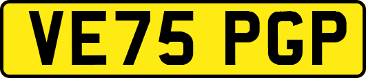 VE75PGP