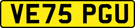 VE75PGU