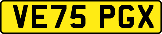 VE75PGX