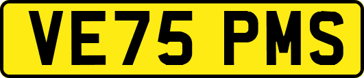 VE75PMS