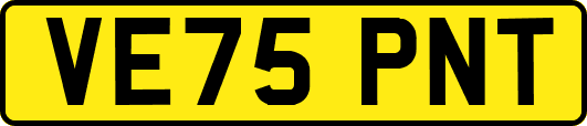 VE75PNT