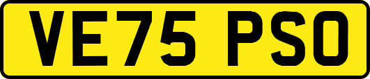 VE75PSO