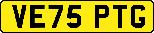 VE75PTG