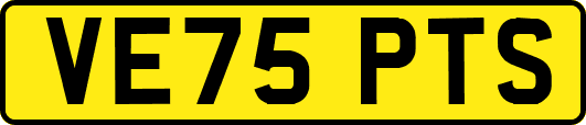 VE75PTS