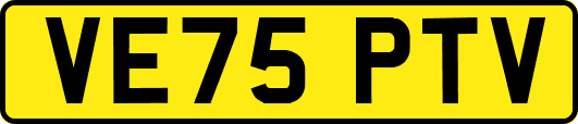VE75PTV