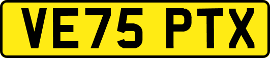 VE75PTX