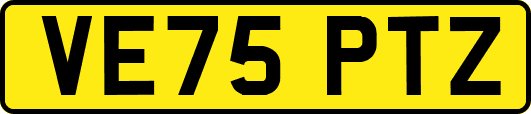 VE75PTZ