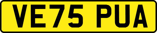 VE75PUA