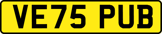 VE75PUB