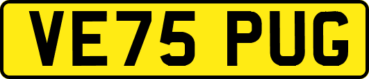VE75PUG
