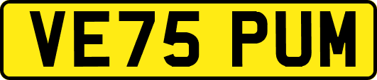 VE75PUM
