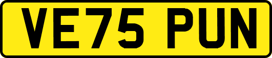 VE75PUN