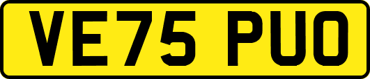 VE75PUO