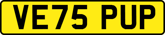 VE75PUP