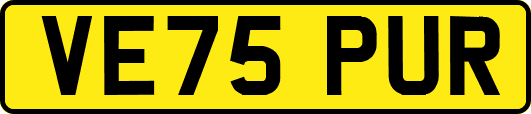 VE75PUR