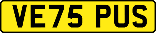 VE75PUS