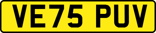 VE75PUV
