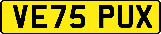 VE75PUX