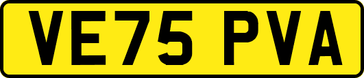 VE75PVA