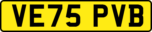 VE75PVB