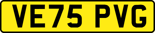VE75PVG