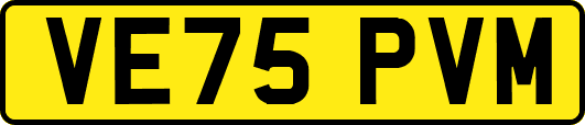 VE75PVM