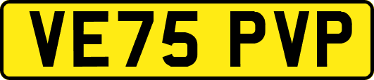 VE75PVP