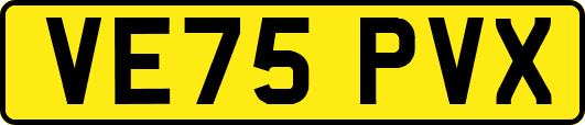 VE75PVX