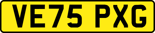 VE75PXG