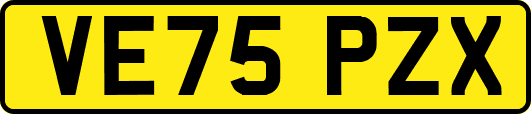 VE75PZX