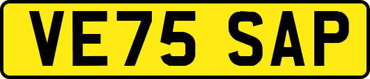 VE75SAP