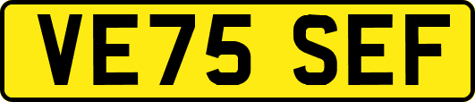 VE75SEF