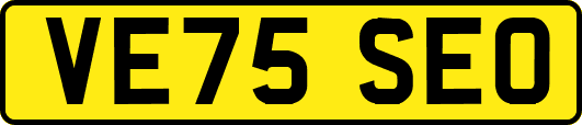 VE75SEO