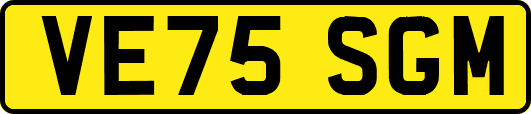 VE75SGM
