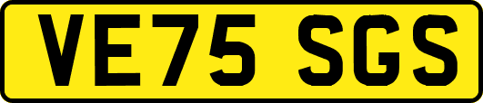VE75SGS