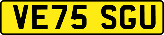 VE75SGU