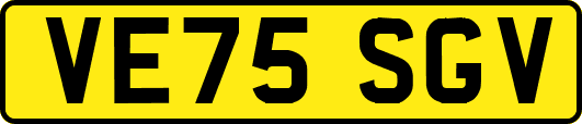 VE75SGV