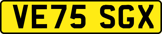 VE75SGX